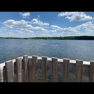 Meet your Posher, Lauren m okell